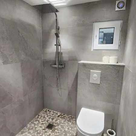 Apartment Prestige Neuf Avec Et Ecran De Cinema En Rez De Jardin Colmar