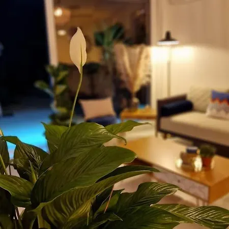 Apartment Prestige Neuf Avec Et Ecran De Cinema En Rez De Jardin *