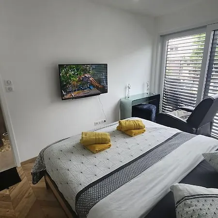 Prestige Neuf Avec Et Ecran De Cinema En Rez De Jardin * Colmar