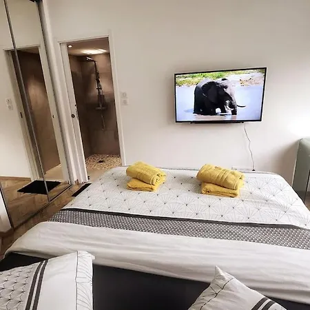 Prestige Neuf Avec Et Ecran De Cinema En Rez De Jardin Colmar