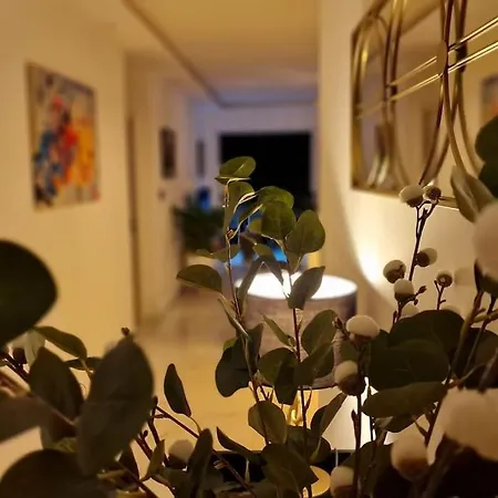 Prestige Neuf Avec Et Ecran De Cinema En Rez De Jardin Daire Colmar