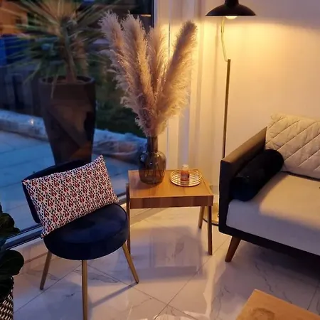 Prestige Neuf Avec Et Ecran De Cinema En Rez De Jardin Colmar