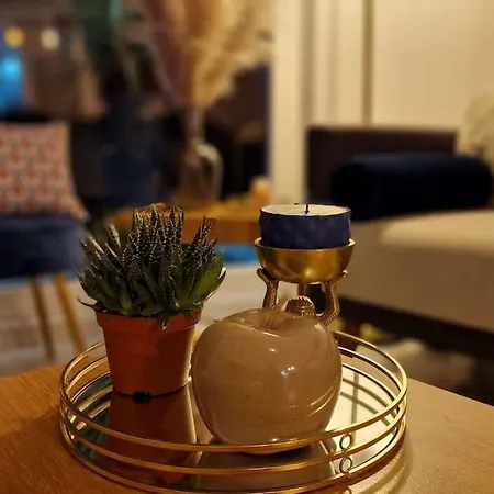 Prestige Neuf Avec Et Ecran De Cinema En Rez De Jardin Apartment Colmar